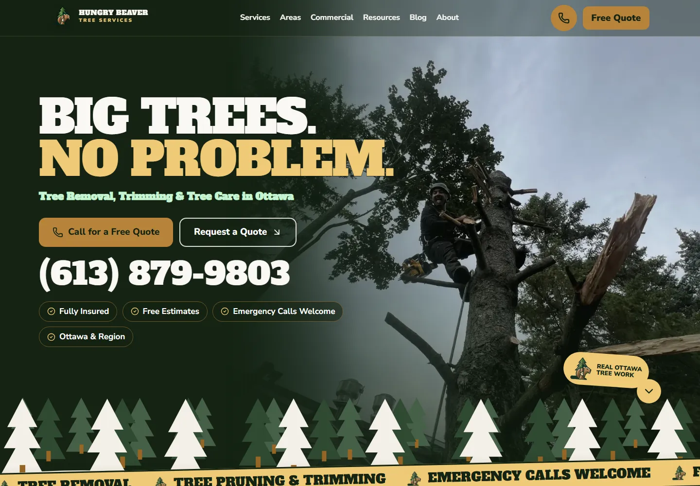 Hungry Beaver Tree Services public homepage on desktop.